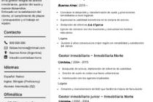 Curriculum Vitae Profesional | Muestra Todo lo que Vales