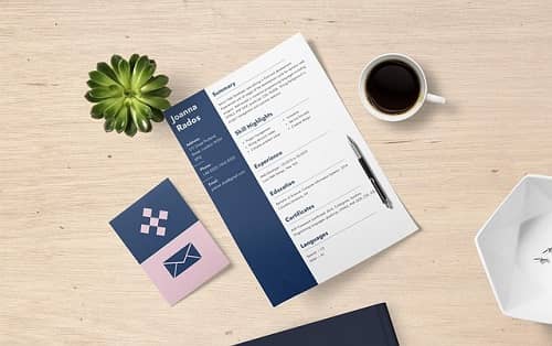 mejores CV